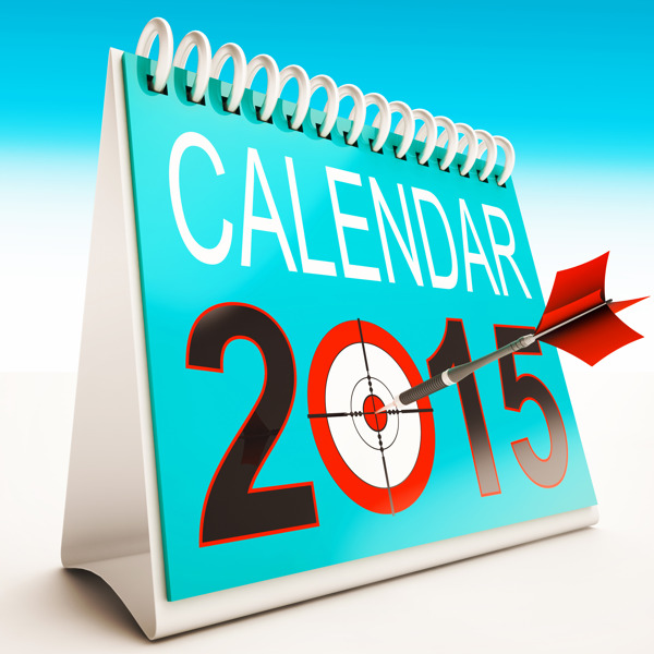 2015目标显示日历年的组织者