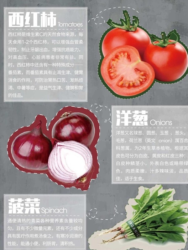 蔬菜介绍海报模板源文件宣传活动