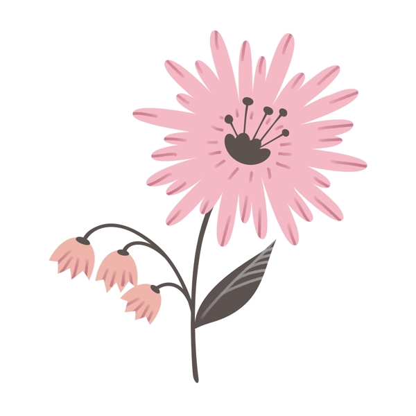 简约的粉红色花朵插图