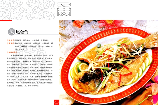 凤尾金鱼菜单广告图片