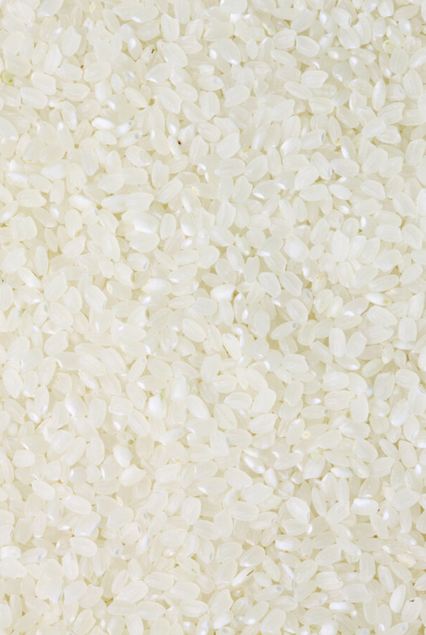 米粮食图片