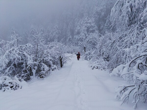 雪景