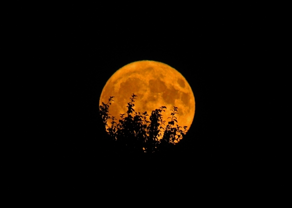 夜色月亮图片