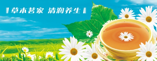 滁州菊花网页广告图片