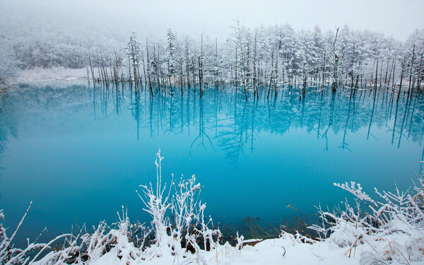 唯美雪景冬季风景