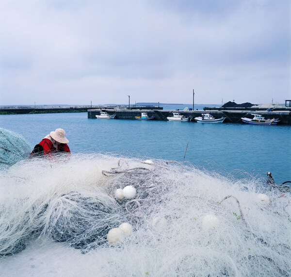 谋生方式采茶叶织布种植养蓄捕渔