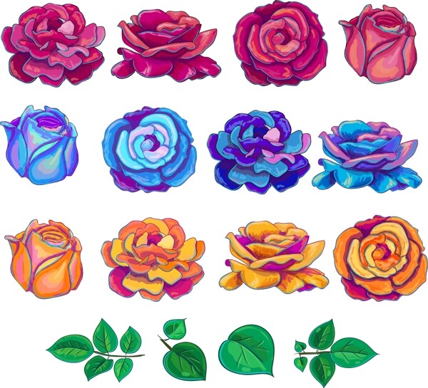 各种颜色玫瑰插图系列