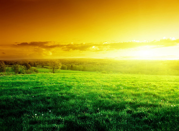 绿色小清新草地温暖夕阳背景