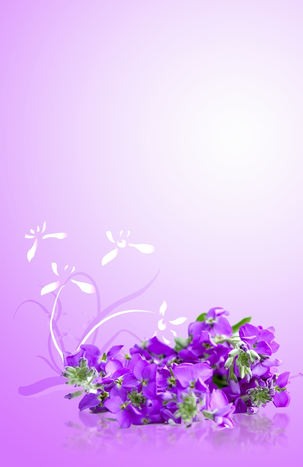 紫色花展板