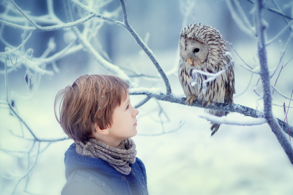 冬天看猫头鹰的小男孩图片