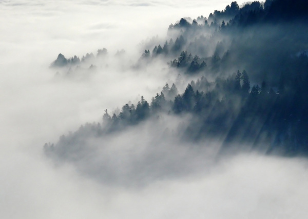 山林中的雾气