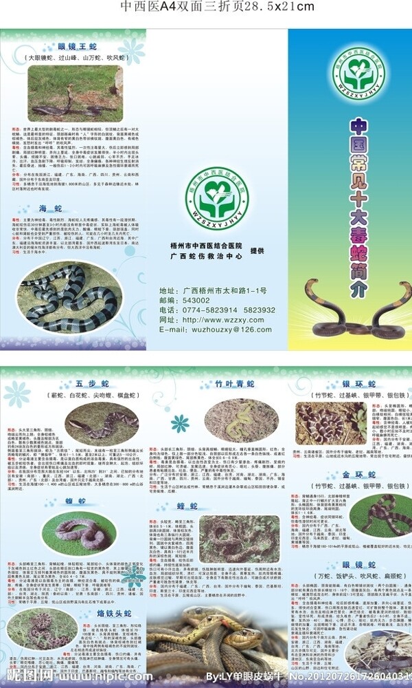 中国常见毒蛇简介图片