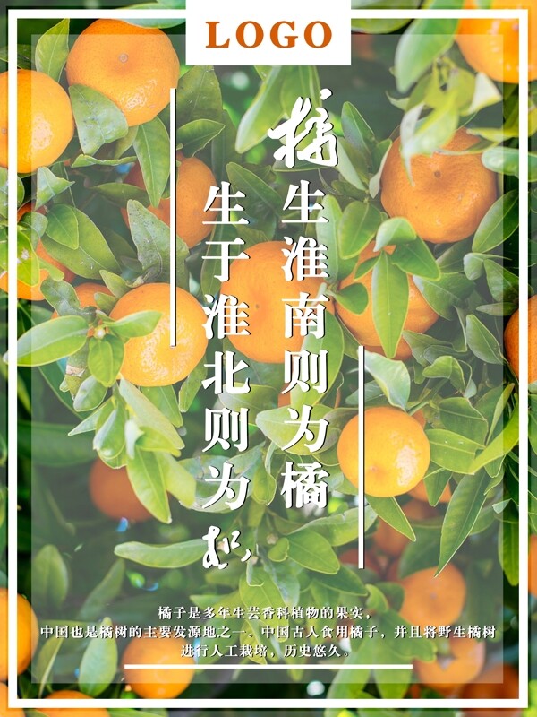 简约大气橘子树水果海报
