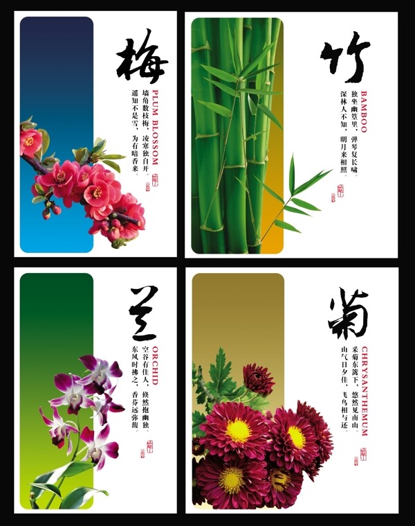 梅竹兰菊