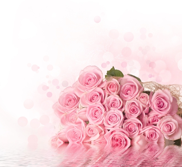 粉色玫瑰花水波纹背景图片