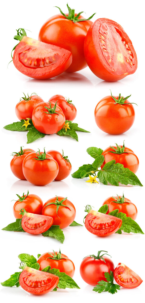 多组高清西红柿图片