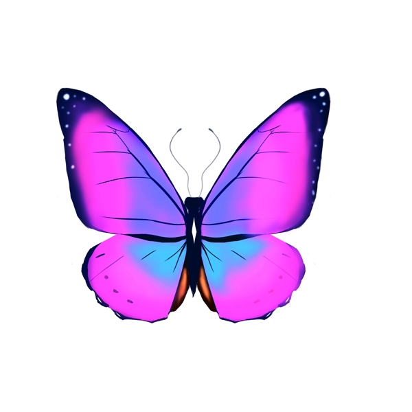 紫色的蝴蝶装饰插画