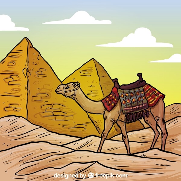 埃及金字塔和骆驼图