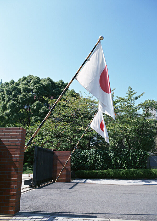 岛国节日风景蓝天草地花朵白云