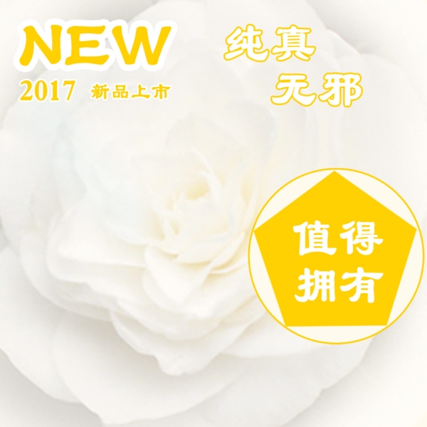 新品上市淘宝产品主图模板素材