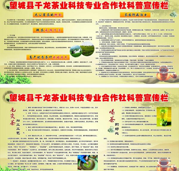 茶业科普宣传栏图片