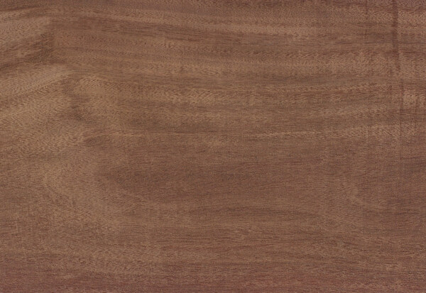 6种木材纹理的高分辨率包JPG