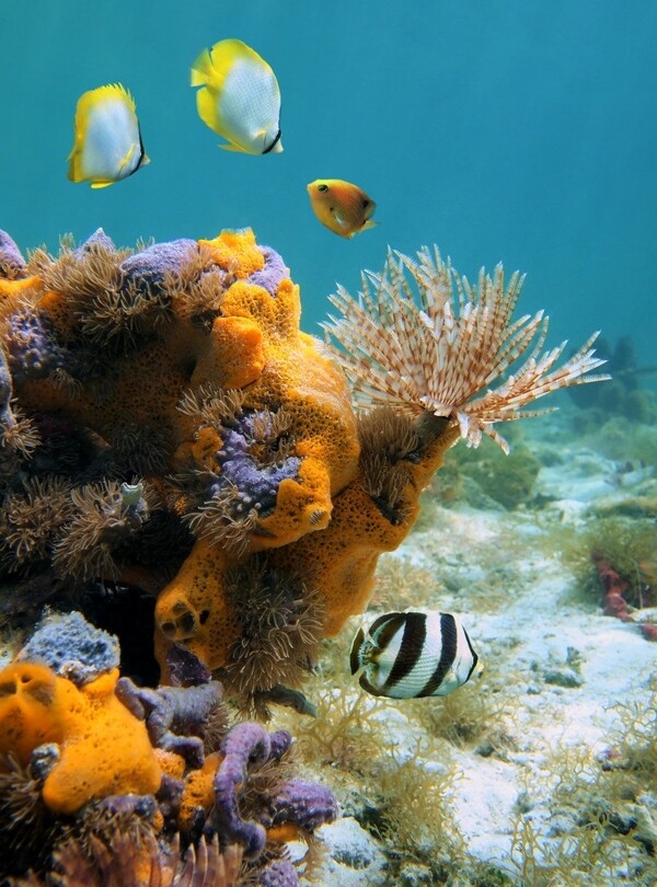 水族馆海底世界图片