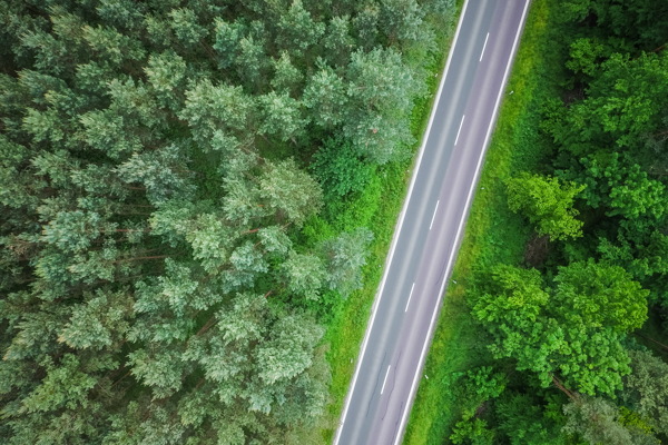 森林公路