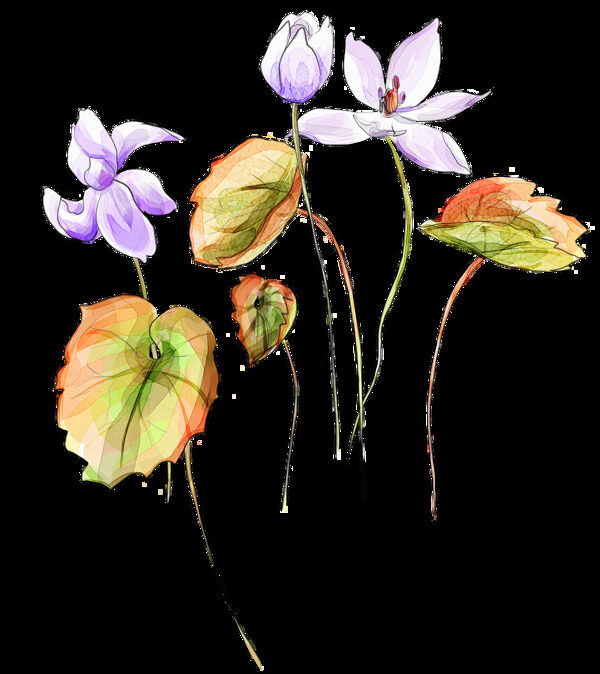 手绘紫色花朵绿叶png元素素材
