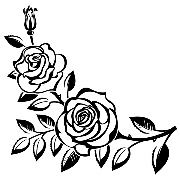 黑白手绘玫瑰花