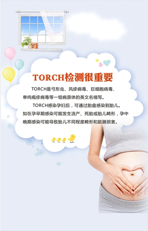 优生优育torch检测