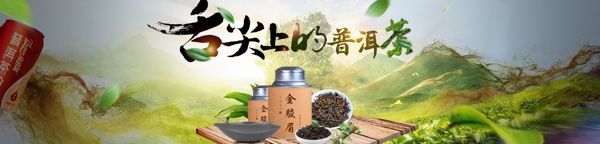 普洱茶