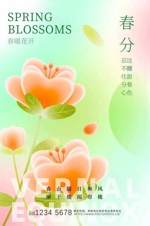 卡通郁金香春暖花开春分节气海报