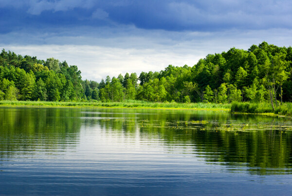 森林湖泊图片