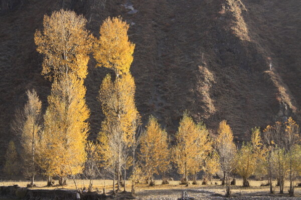 山村秋色图片