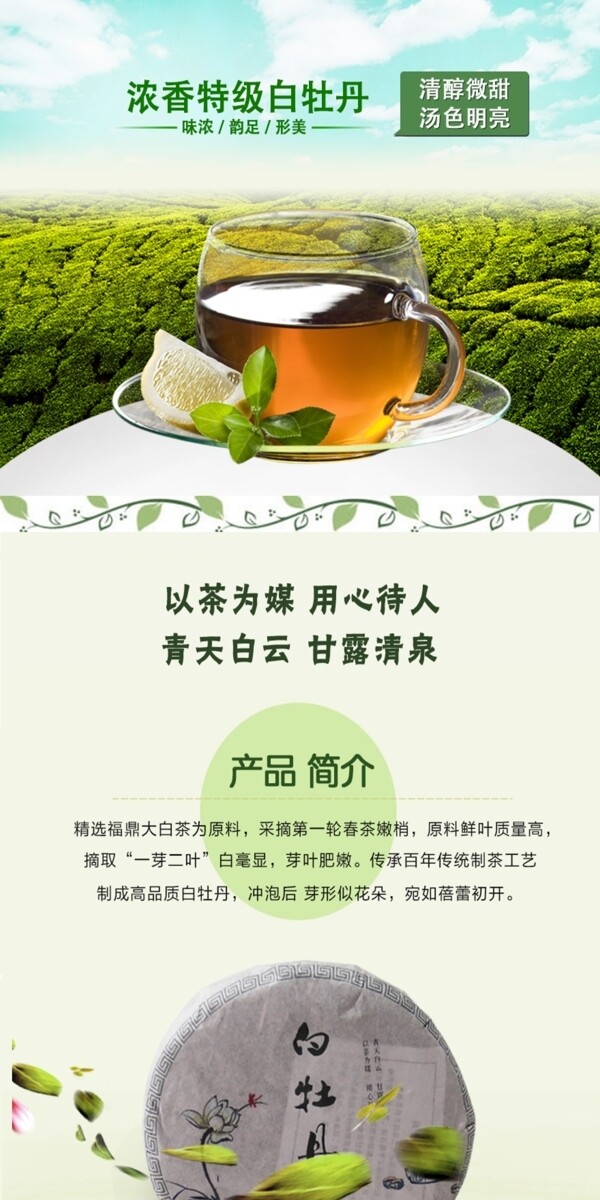 白牡丹普洱茶