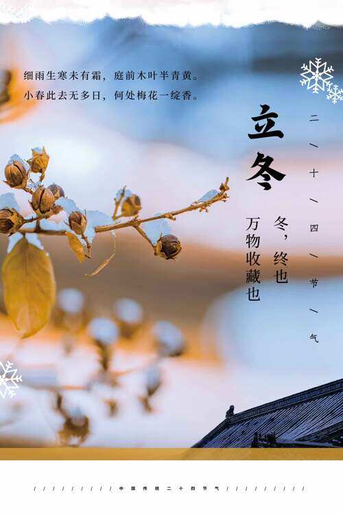 立冬节气万物收藏雪花图案主题海报