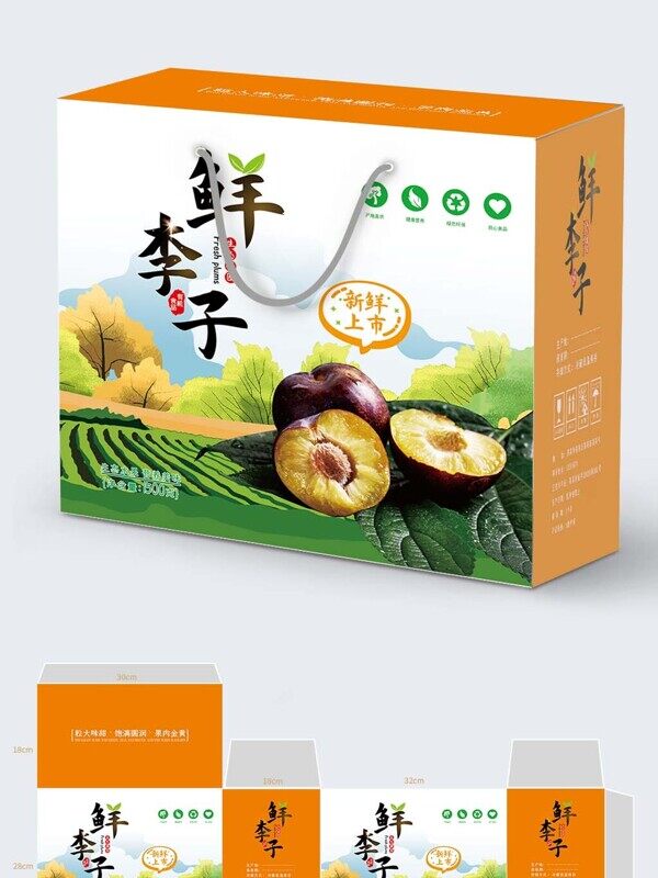 手绘绿色大树林新鲜李子方形手提礼盒包装样机