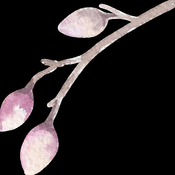 粉色花卉水彩透明素材