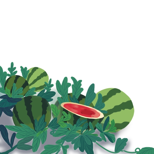 西瓜地装饰图案植物