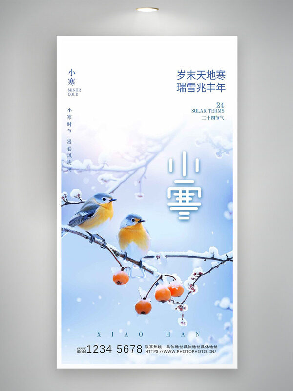 漫卷风凌冽小寒时节小鸟柿子插画简约海报