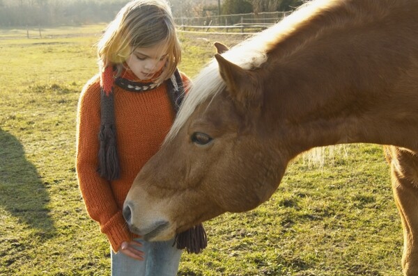喂马的小女孩图片