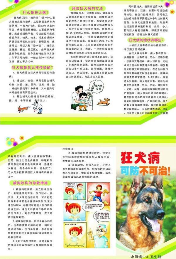 狂犬病三折页图片