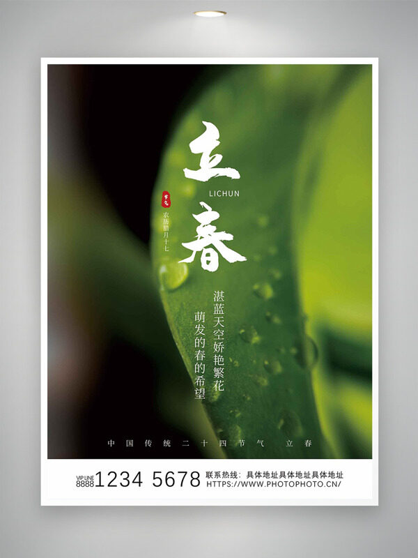 中国传统节气之立春绿叶露珠创意海报