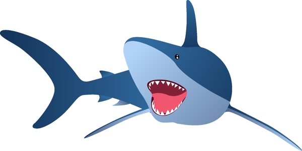 鲨鱼插画