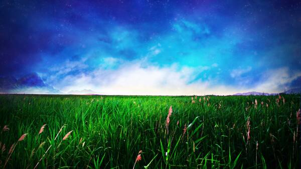 梦幻蓝天下的绿草地