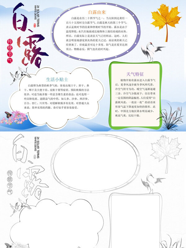 可爱精美白露白露介绍手抄报