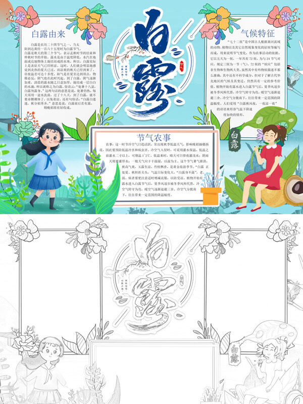 简约白露白露介绍手抄报