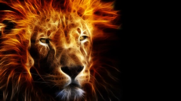 火焰狮子