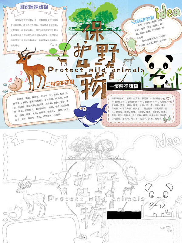 小清新保护野生动物保护野生动物手抄报